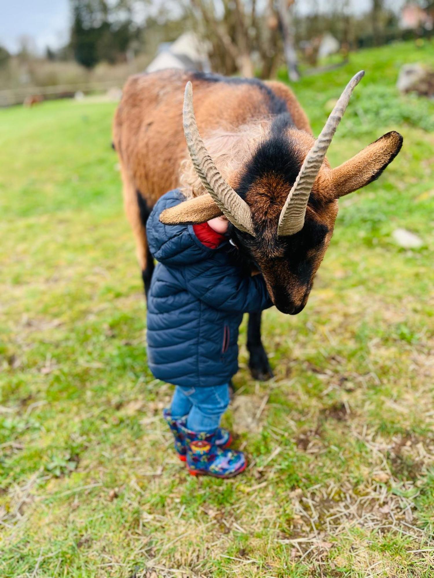 Madelaine Ranch, maison de campagne 10 personnes Le Gast Extérieur photo