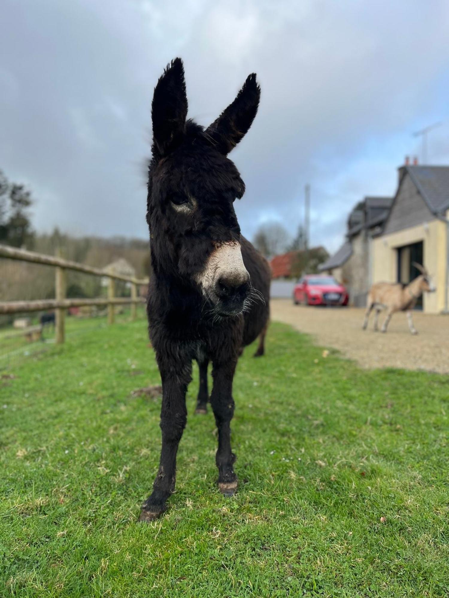 Madelaine Ranch, maison de campagne 10 personnes Le Gast Extérieur photo