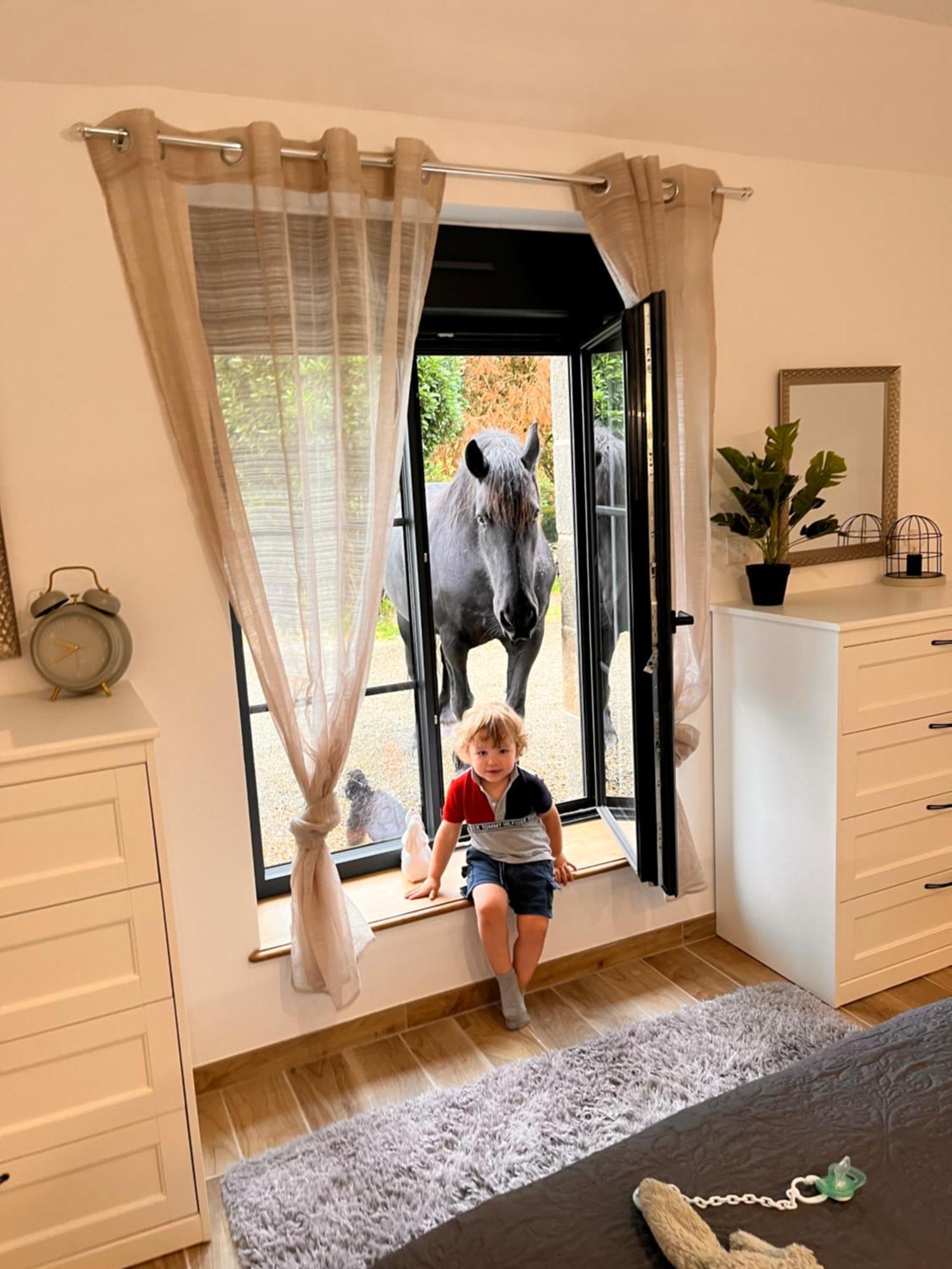 Madelaine Ranch, maison de campagne 10 personnes Le Gast Extérieur photo