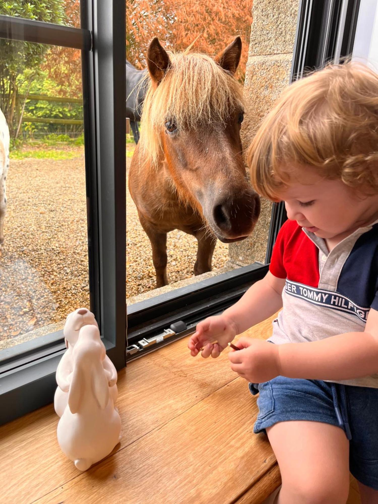 Madelaine Ranch, maison de campagne 10 personnes Le Gast Extérieur photo
